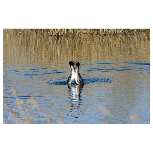 PHOTO84, CLUB, 84 , LUBERON